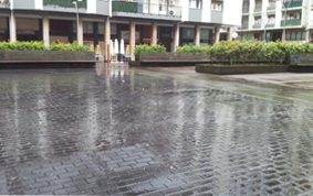 Armerias Plaza. Donostia