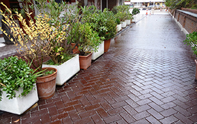 Tolosa Etorbidea. Terraza. Donostia