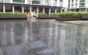 Armerias Plaza. Donostia